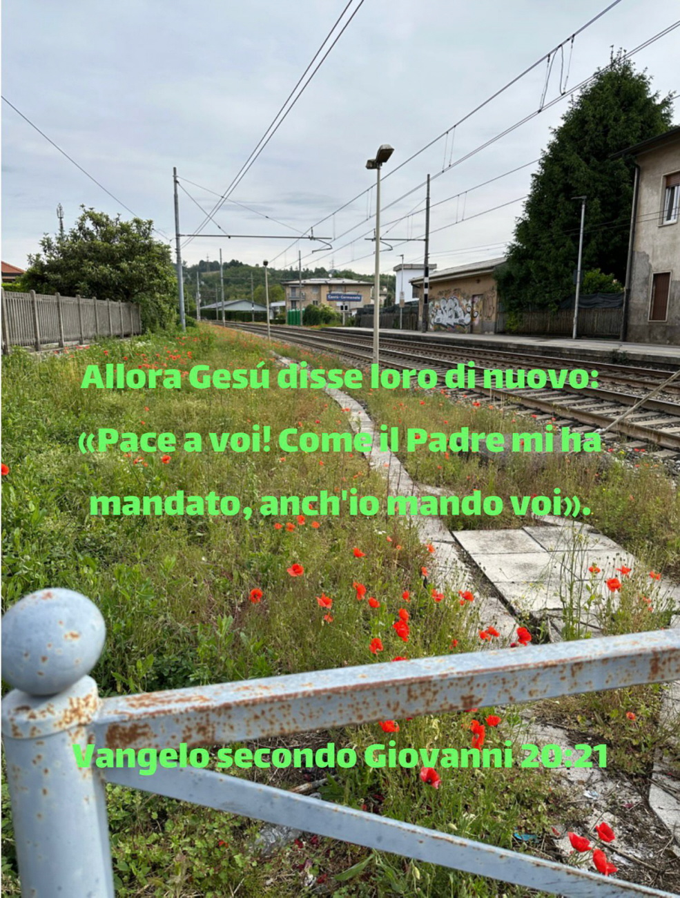 CIBO PER L'ANIMA - LA PAROLA DI DIO